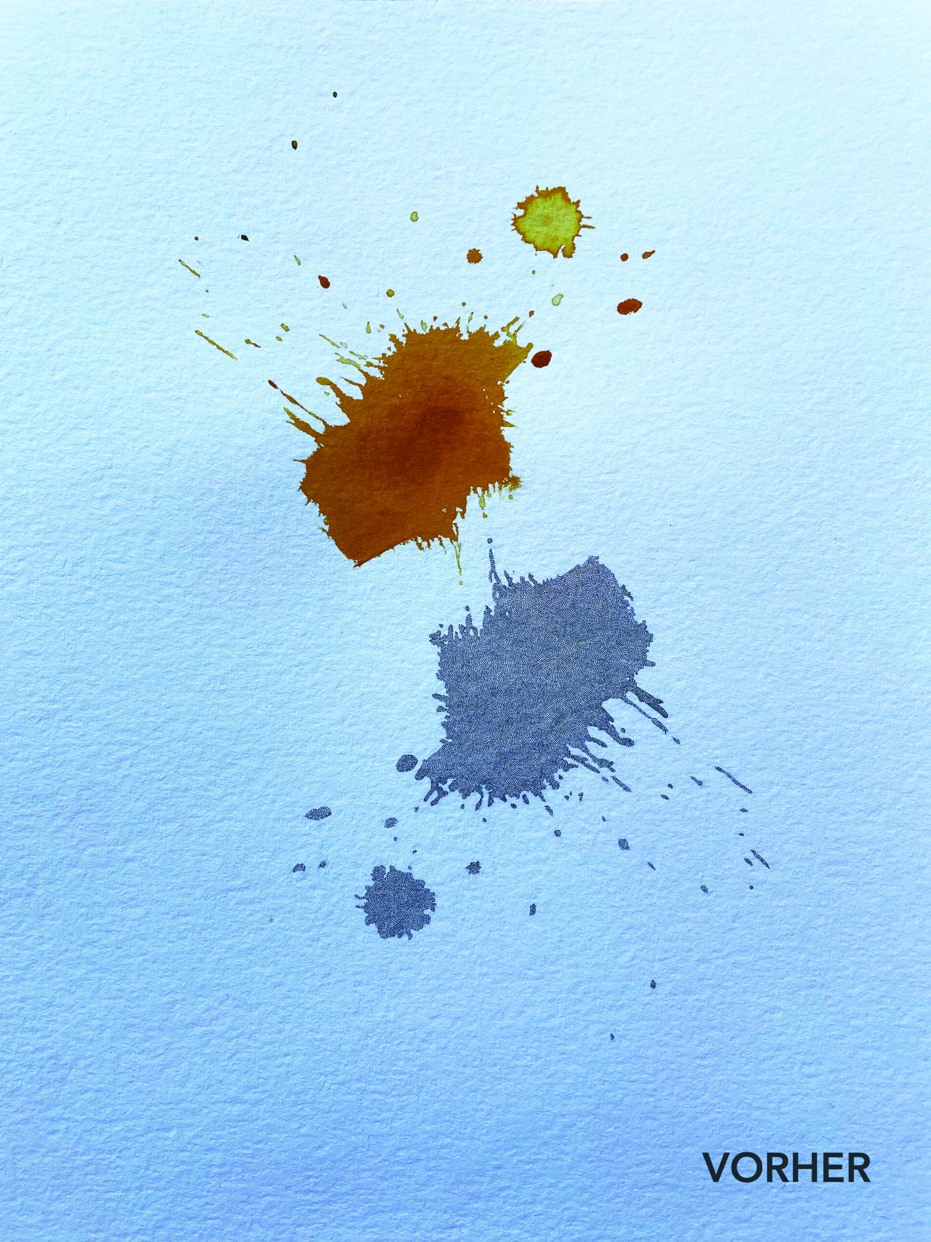 13.03.2025 – Bild 6