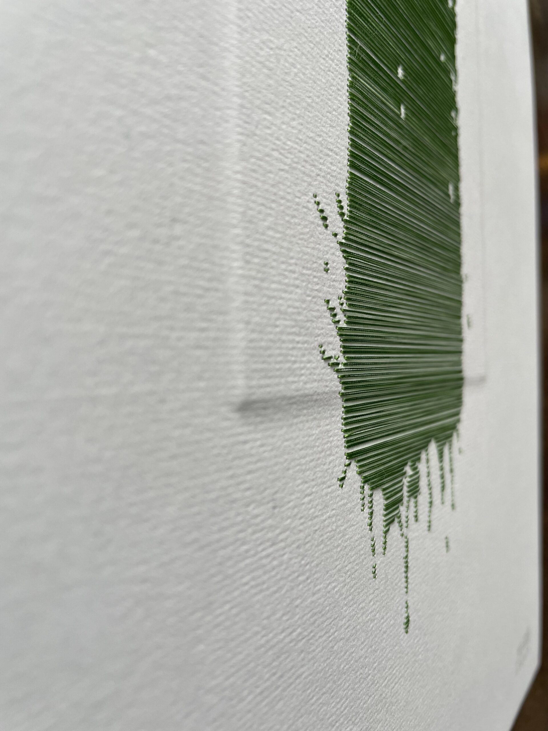 01.12.2024 – Bild 2