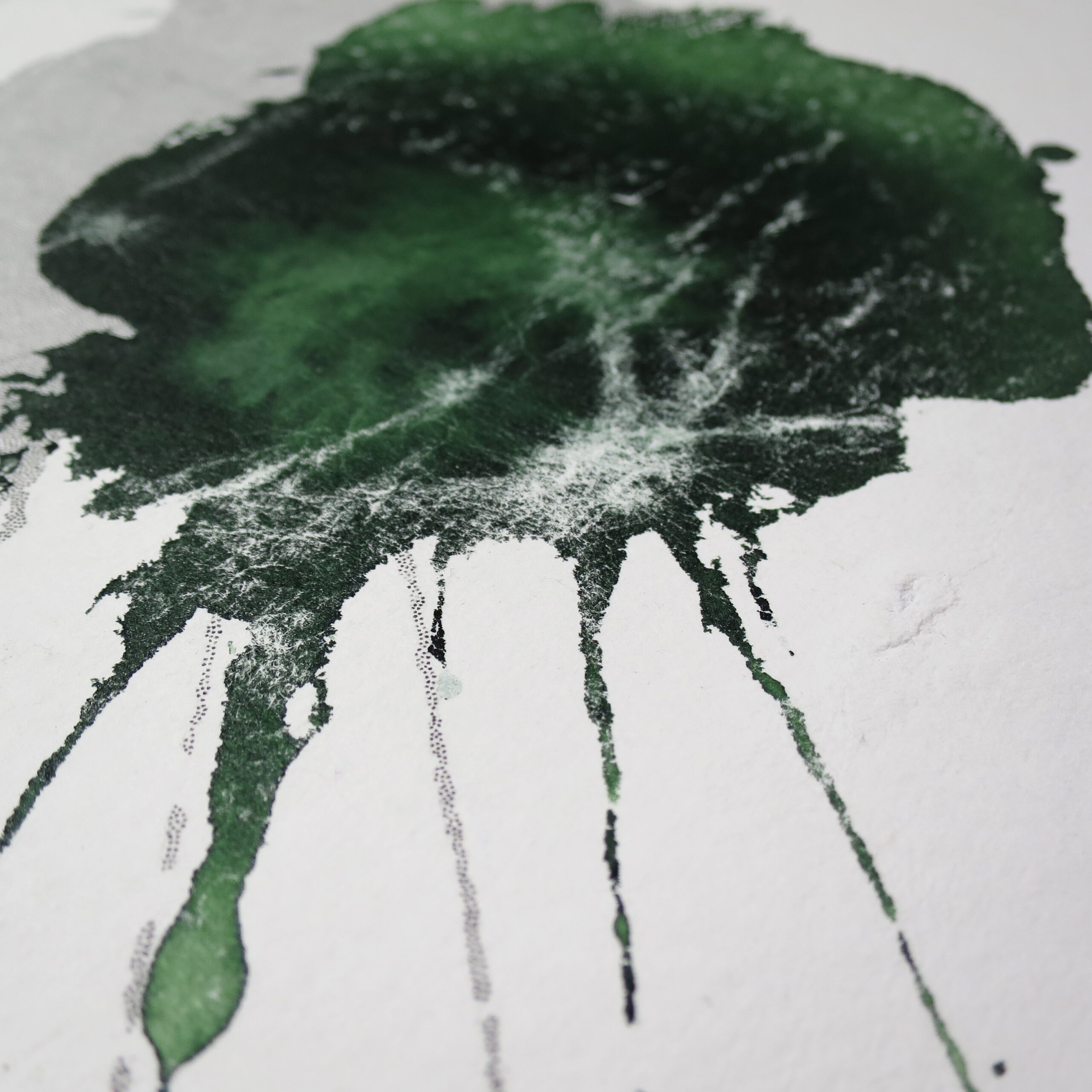 04.03.2025 – Bild 2