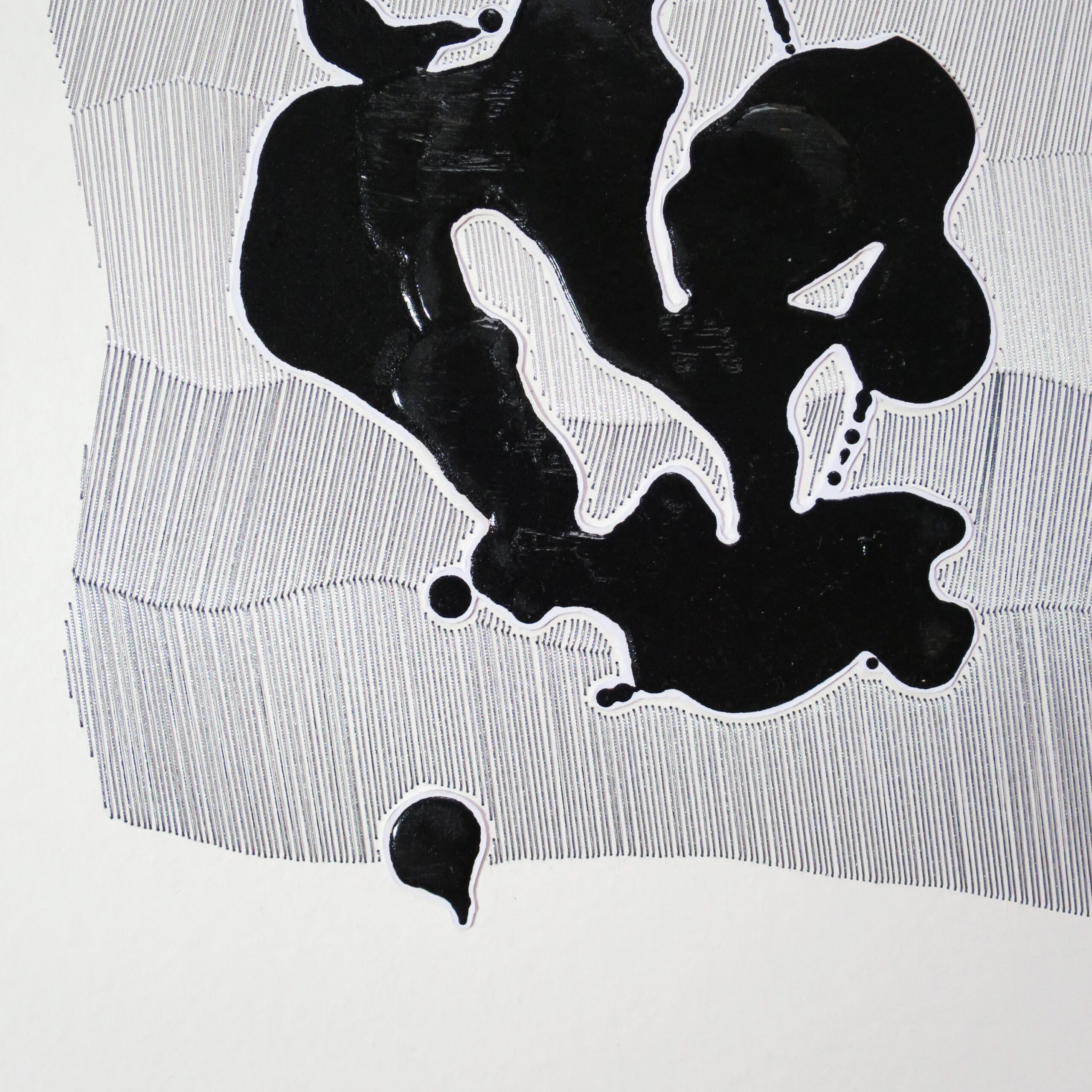 05.02.2025 – Bild 5