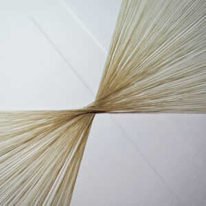 08.03.2023 – Bild 3