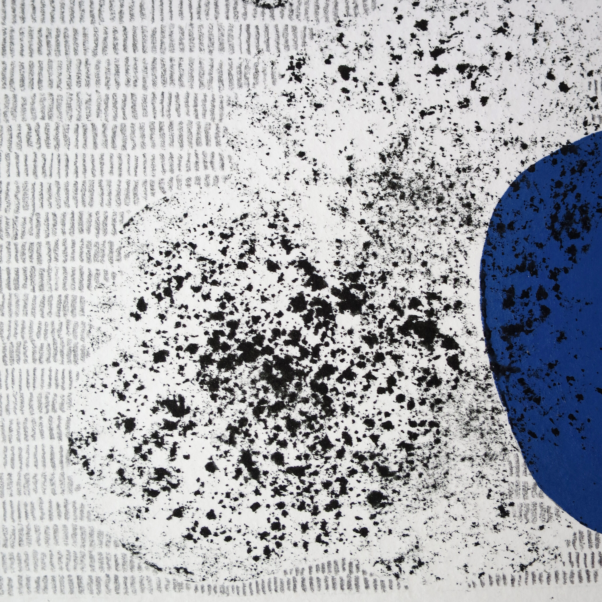 12.02.2025 – Bild 5