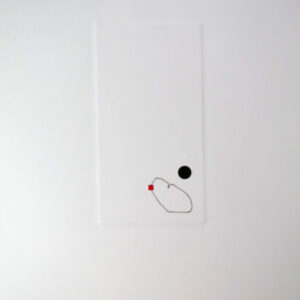 12.11.2024 IV – Bild 1