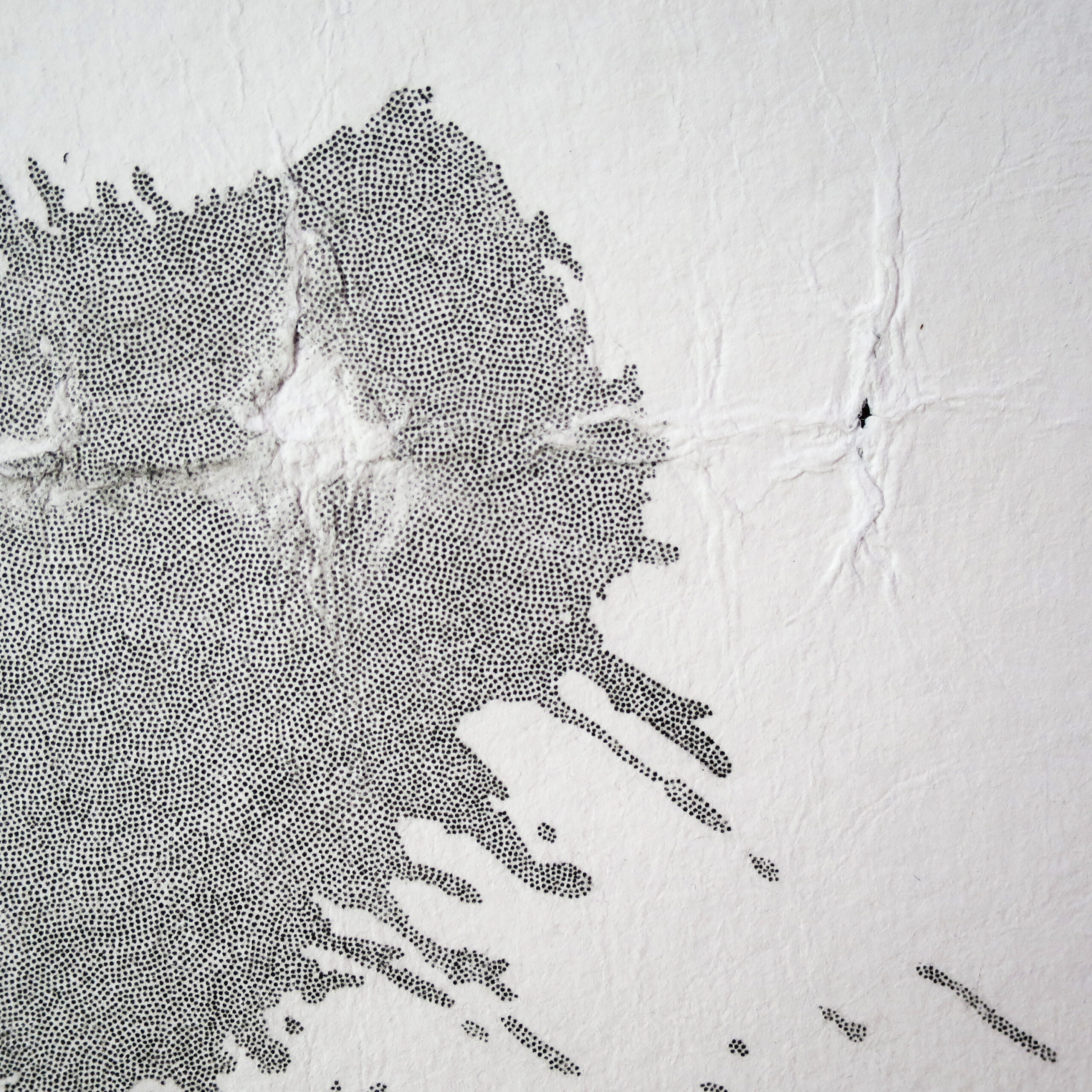 13.03.2025 – Bild 2