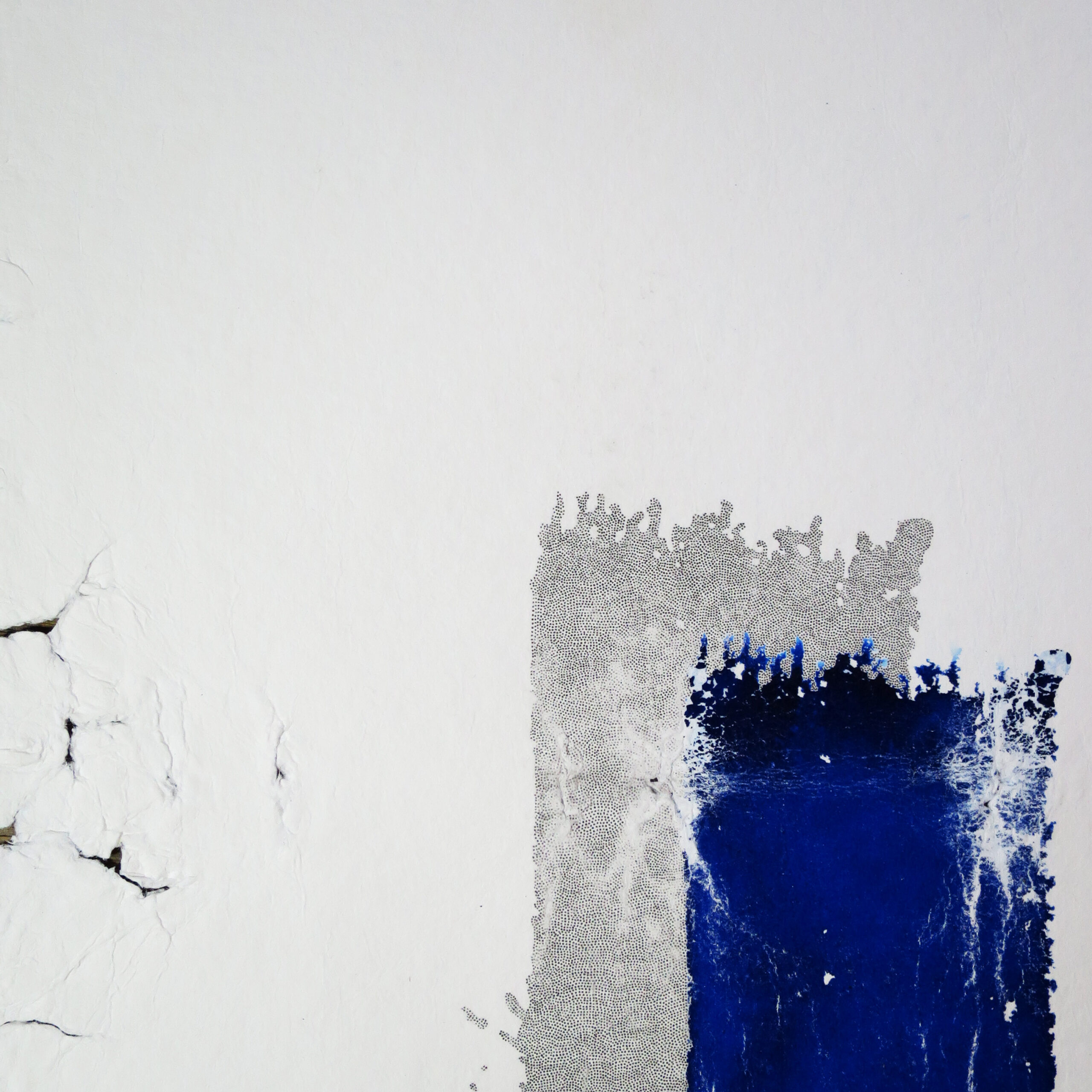 14.03.2025 – Bild 3