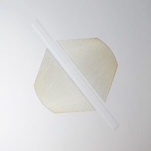 22.06.2023 – Bild 1