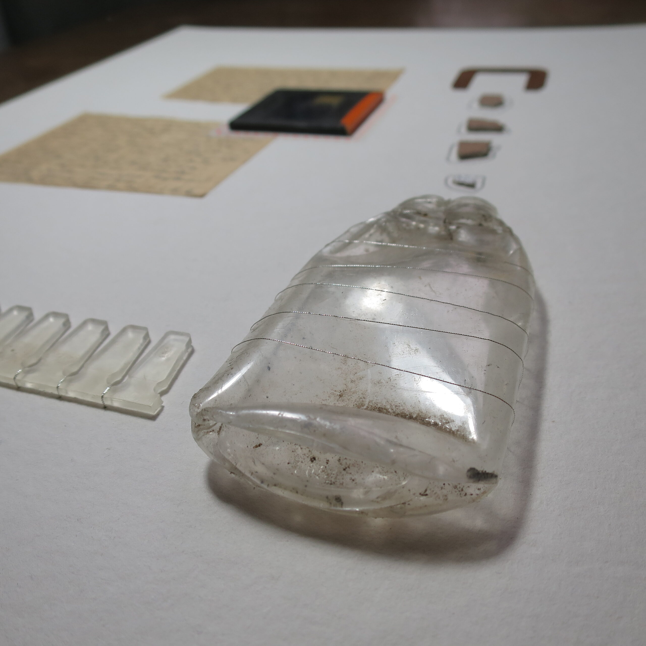 23.08.2021 – Bild 2