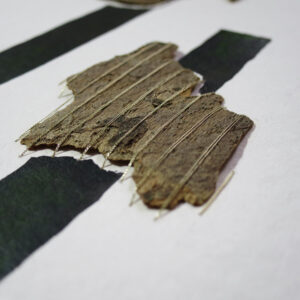 26.02.2025 II – Bild 4