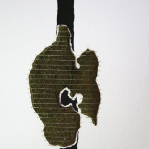 26.02.2025 II – Bild 3