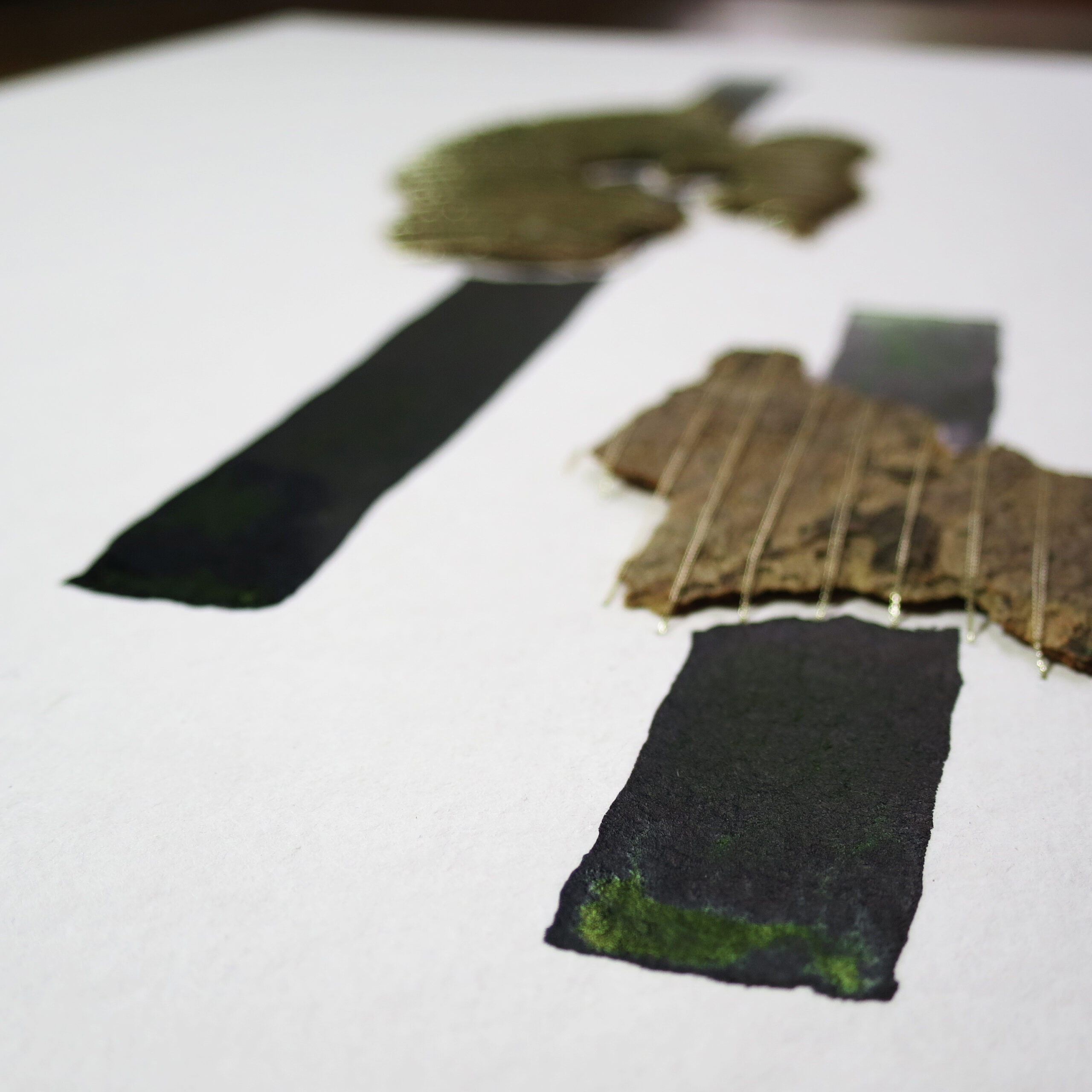 26.02.2025 II – Bild 2