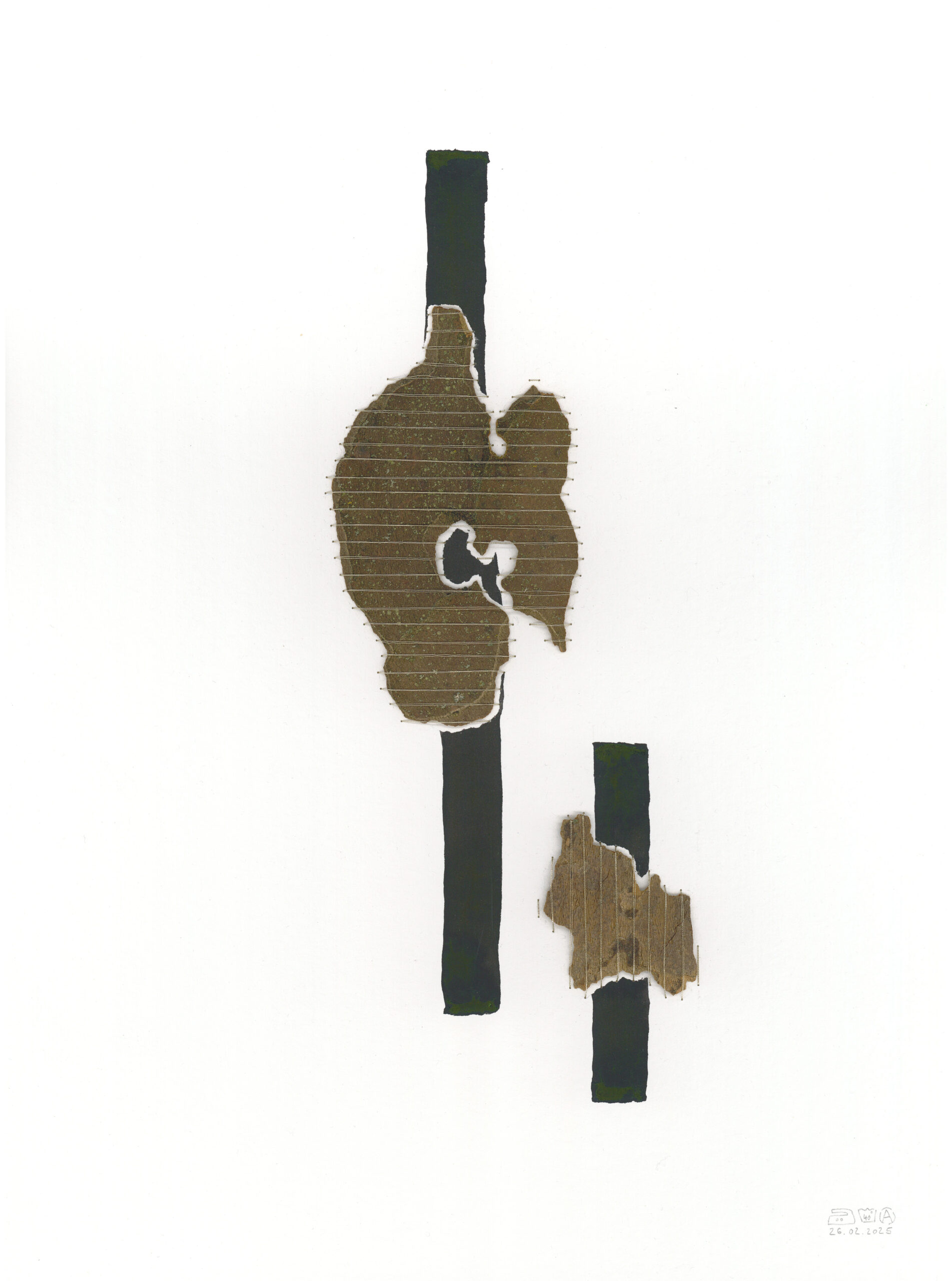 26.02.2025 II – Bild 1