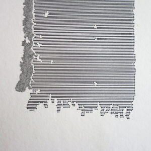 26.08.2025 – Bild 3