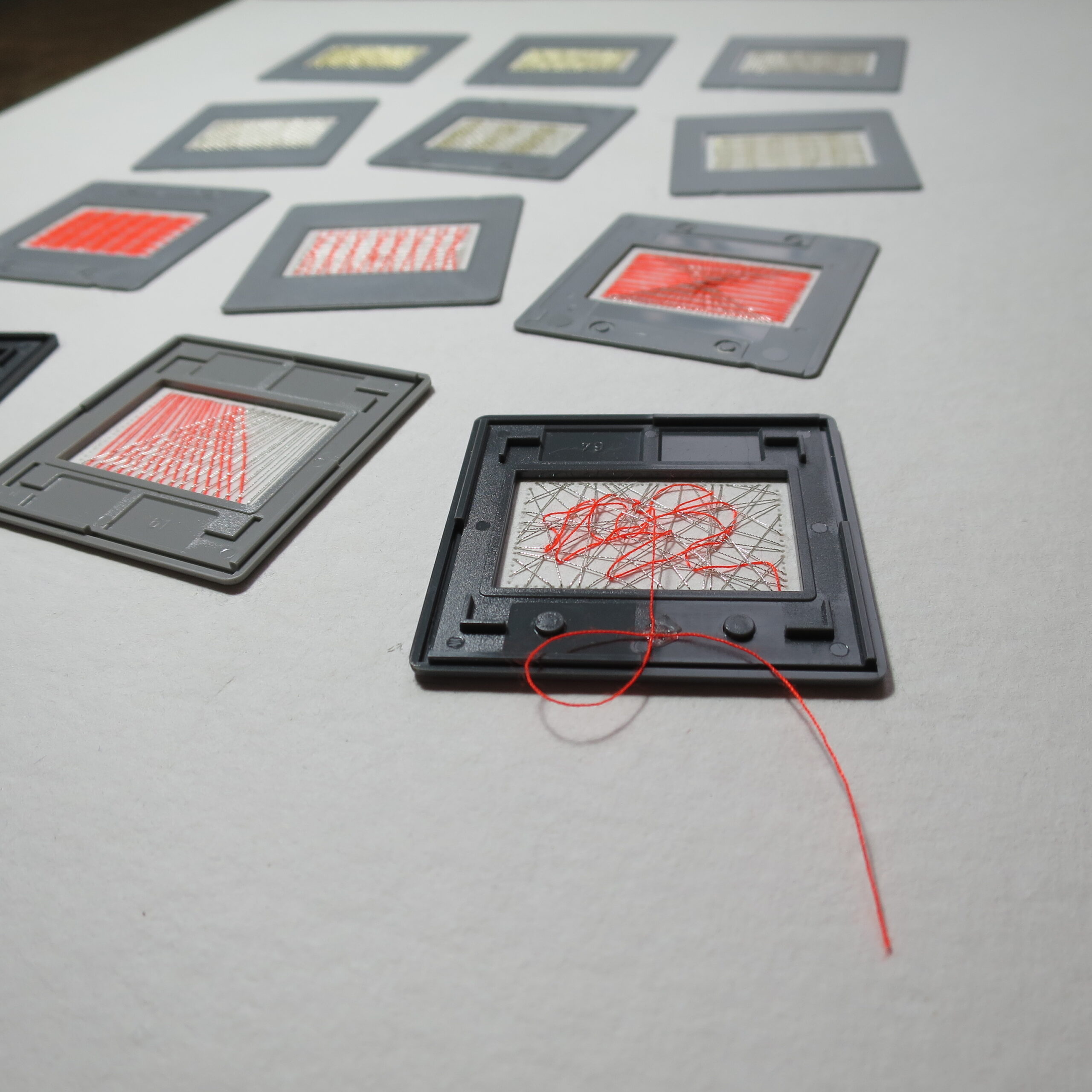 28.08.2021 – Bild 2