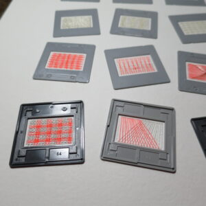 28.08.2021 – Bild 3