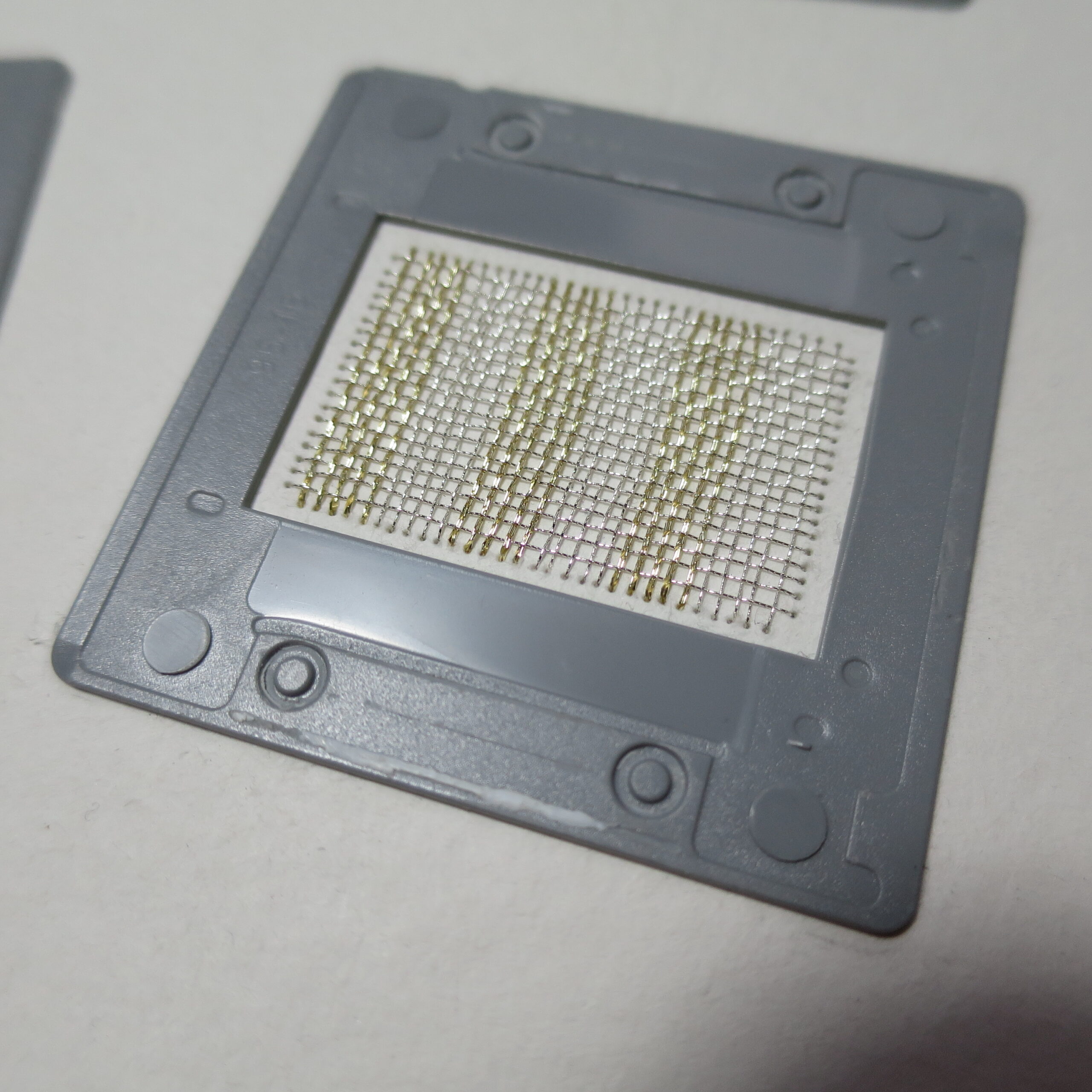 28.08.2021 – Bild 4