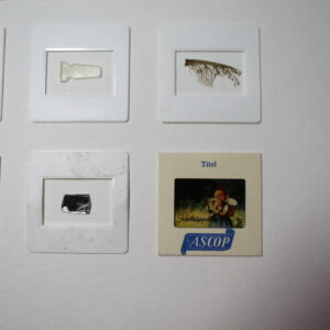 29.08.2021 – Bild 2