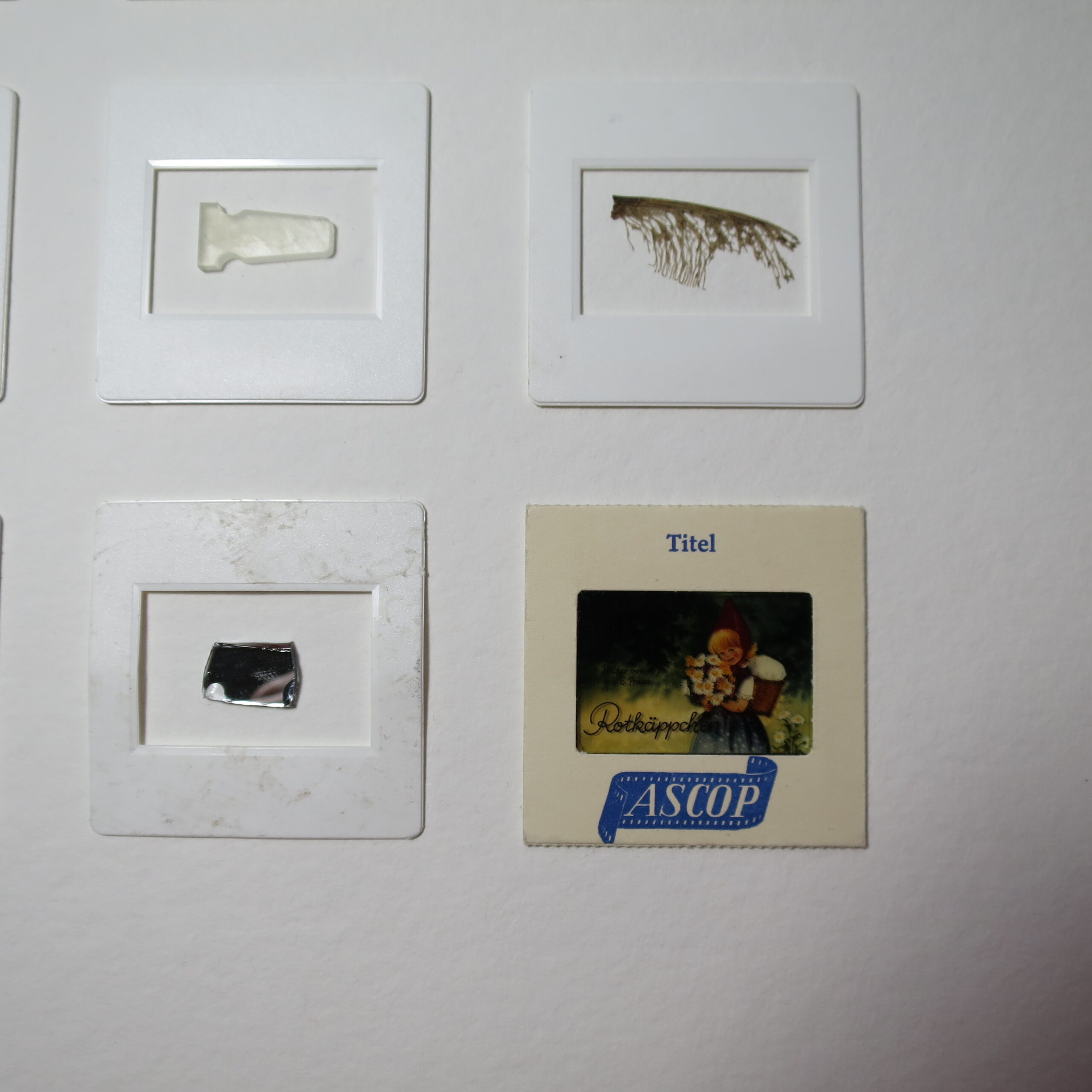 29.08.2021 – Bild 2