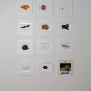 29.08.2021 – Bild 1