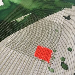 31.01.2021 – Bild 3