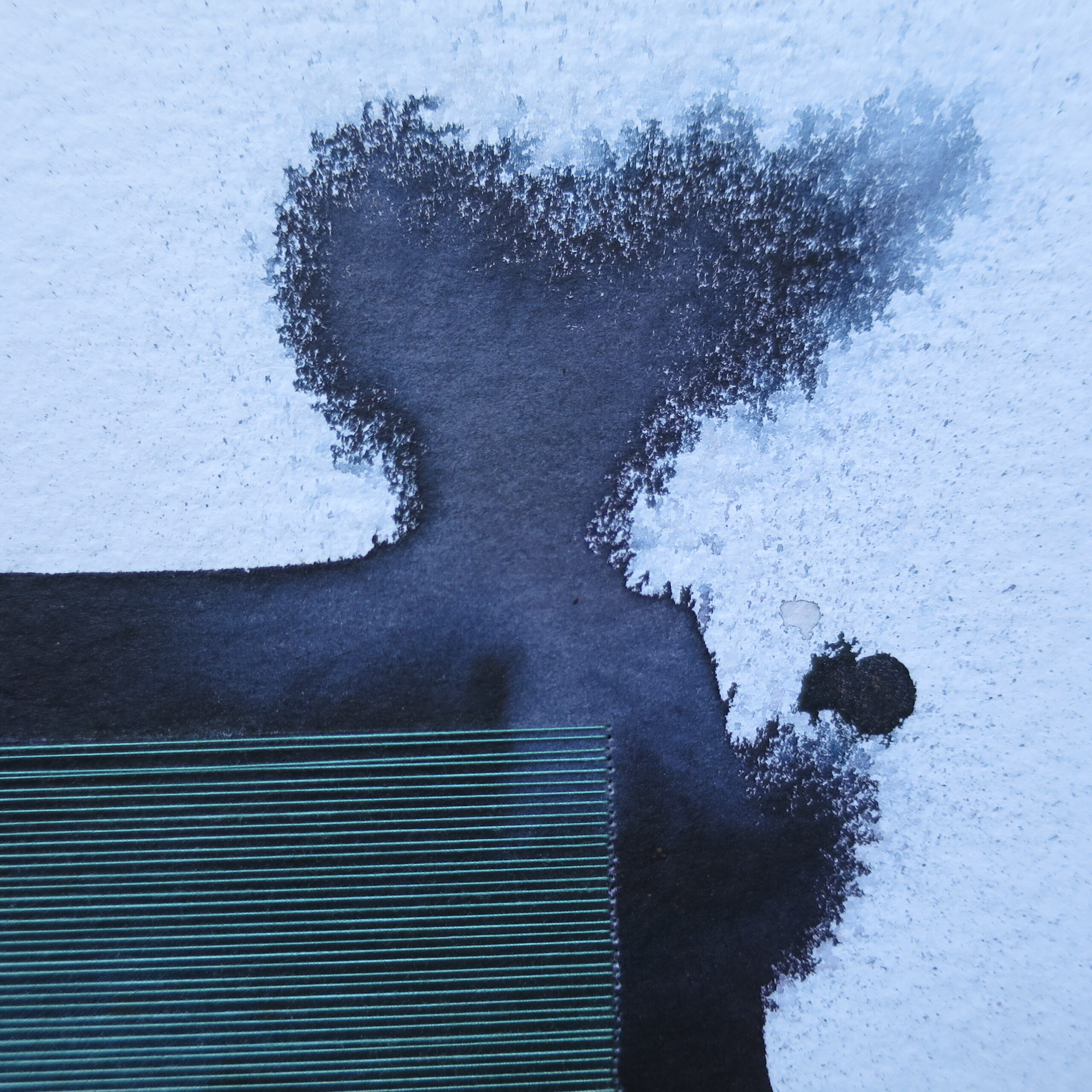 06.03.2026 – Bild 4