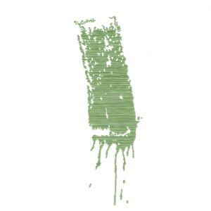 17.09.2025 – Bild 1