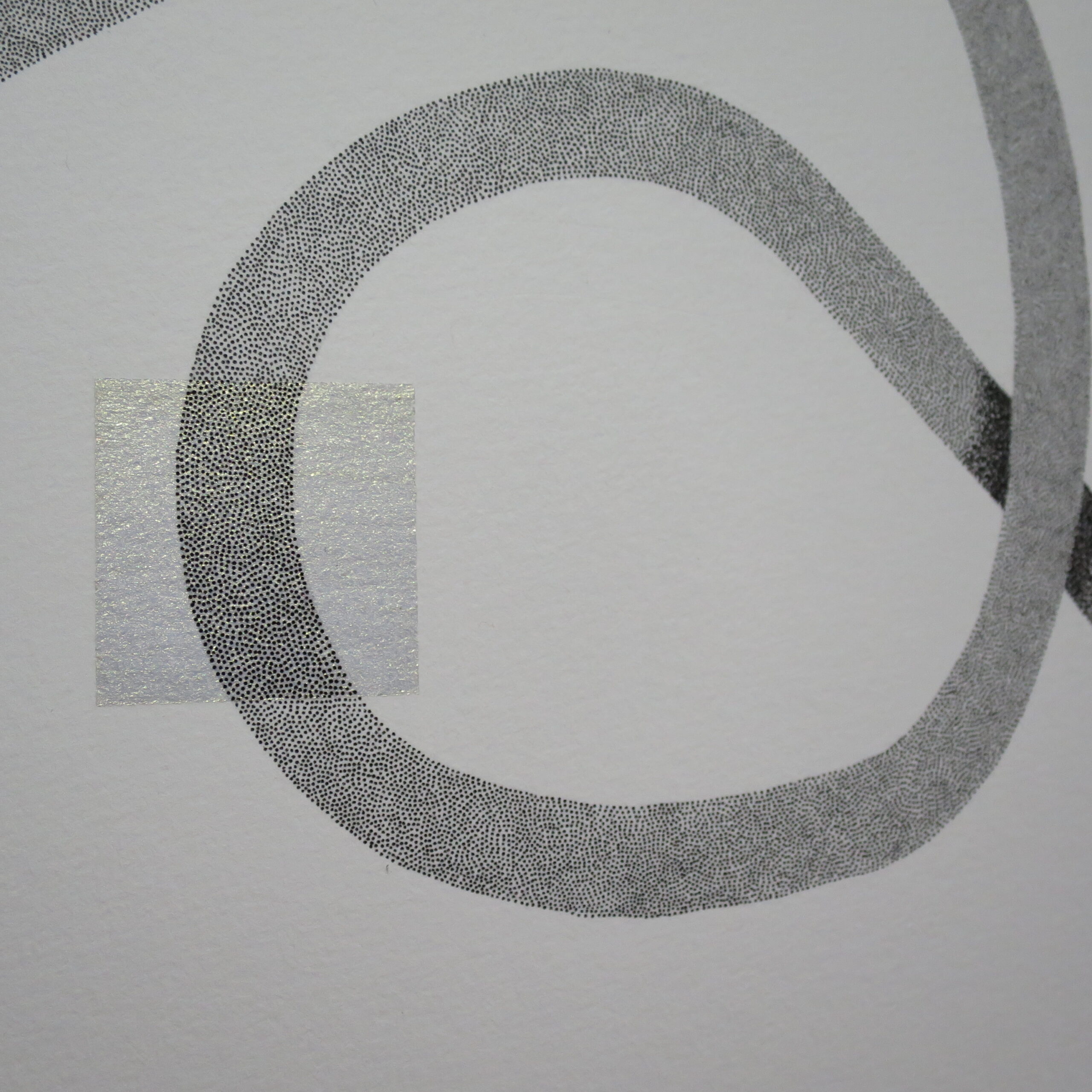 24.01.2026 – Bild 2